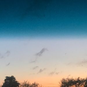 Meet your Posher, Sophia